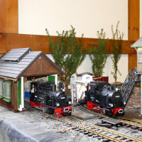 Ausstellungen 2020-01 Röhrsdorf - Modelleisenbahnclub Kreischa e.V.